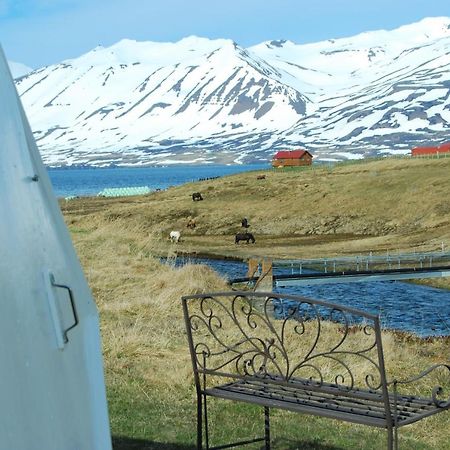 Sky Sighting Igluhus - Stay'In Arbakki Arskogssandur 外观 照片