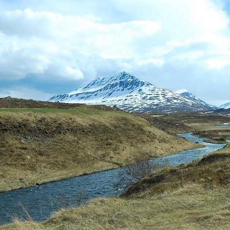 Sky Sighting Igluhus - Stay'In Arbakki Arskogssandur 外观 照片