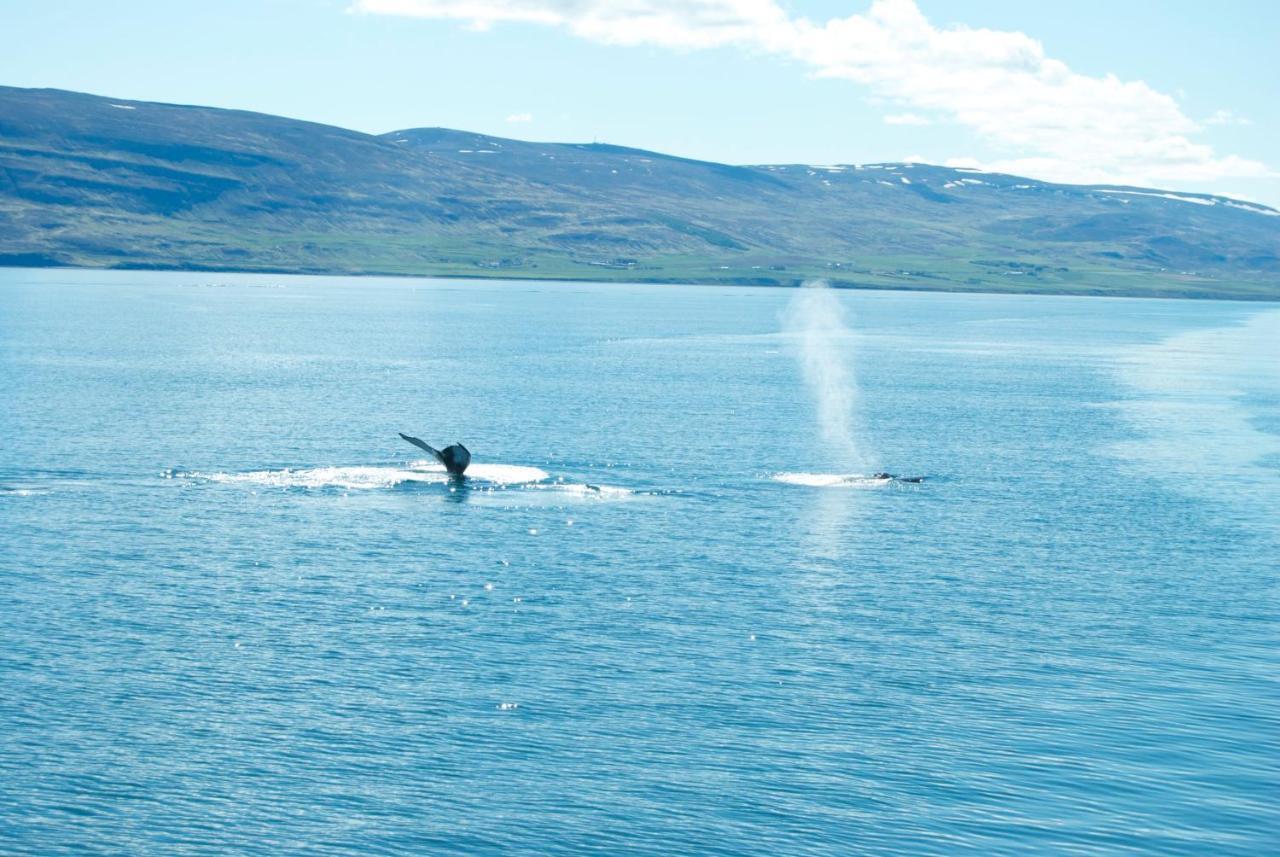 Sky Sighting Igluhus - Stay'In Arbakki Arskogssandur 外观 照片